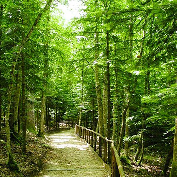 Naturaleza incontaminada