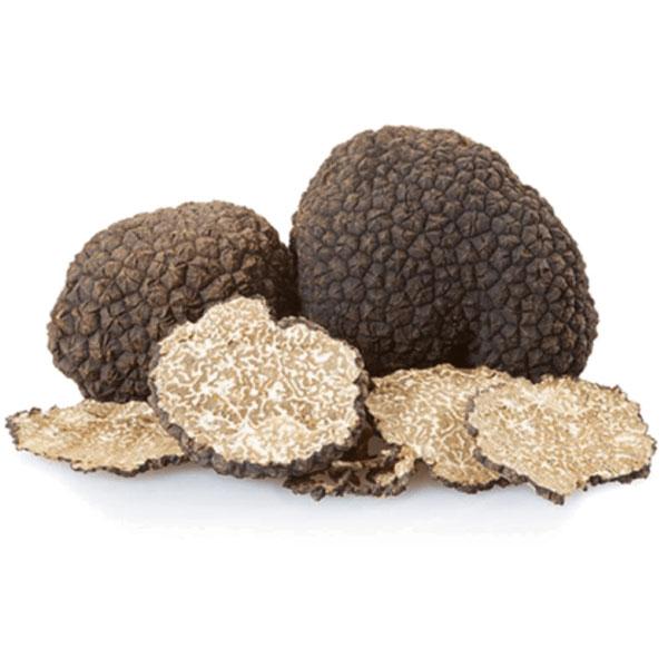 tartufo nero invernale (tuber uncinatum vitt)